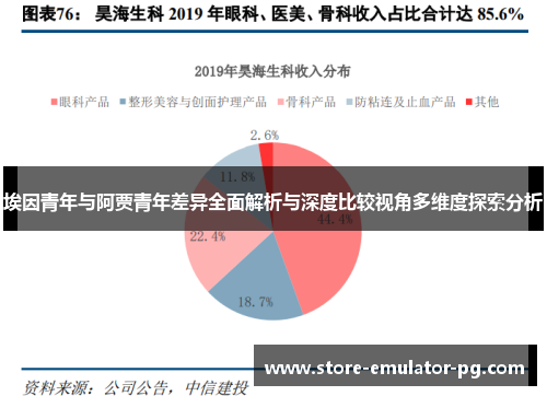 埃因青年与阿贾青年差异全面解析与深度比较视角多维度探索分析