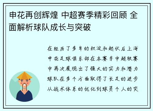 申花再创辉煌 中超赛季精彩回顾 全面解析球队成长与突破 申花再创辉煌 中超赛季精彩回顾 全面解析球队成长与突破