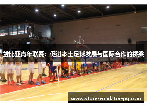 赞比亚青年联赛：促进本土足球发展与国际合作的桥梁